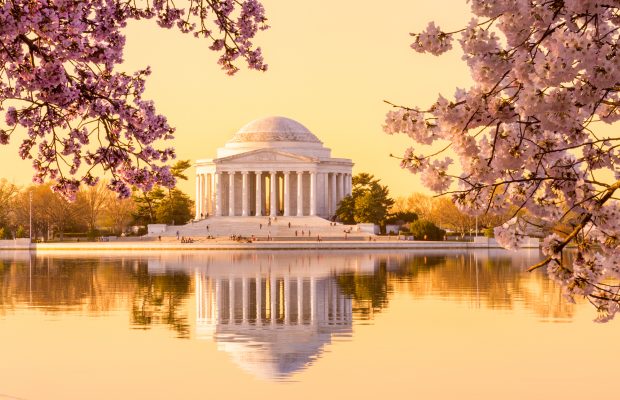 Cherry Blossoms and Washington DC March 26-31 and April 2-7, 2026