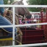 Rider in jeans on a horse inside a red corral at a fair, with ropes and spectators in the background.