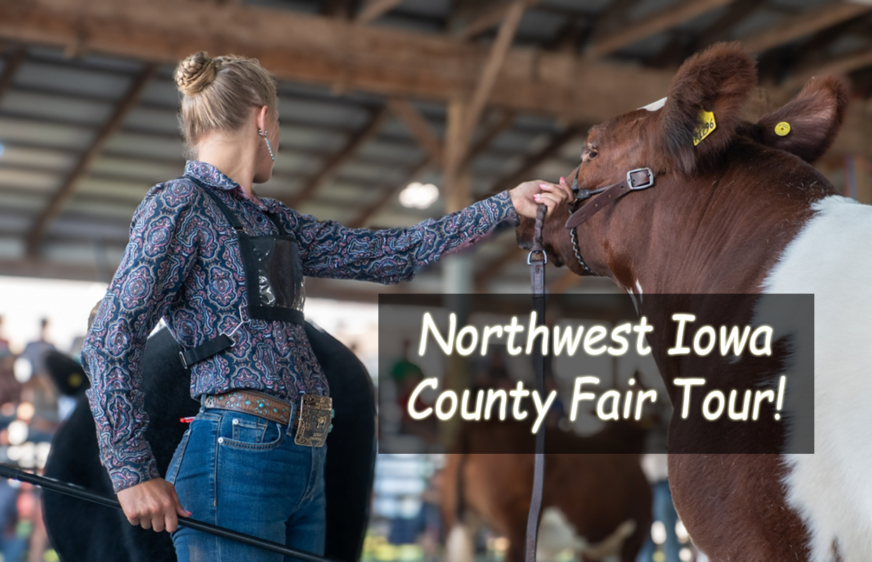 Woman in patterned shirt leads a brown-and-white horse by the halter in a barn.